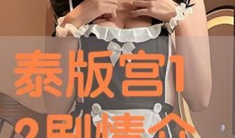 宫泰国版在线观看12,穿越时空的浪漫传奇