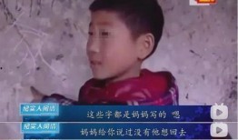 娱乐吃瓜酱76岁爷爷,揭秘娱乐圈背后的故事