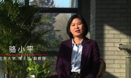 王峰学生爆料视频大全集,揭秘校园风云录