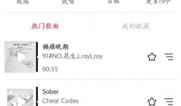 健康爆料抖音视频怎么拍,轻松拍出吸睛视频，揭秘短视频制作技巧