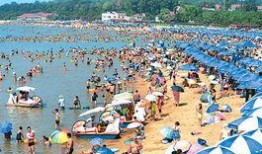 秦皇岛浴场爆料案件视频,真相与疑云交织的悬疑事件