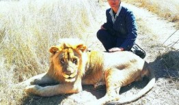 网红吃瓜像狒狒的是谁,揭秘网络红人的另类趣味