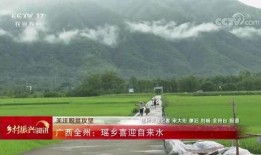 全州咸水乡村爆料视频,揭秘神秘海岛风情