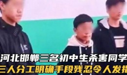 三个初中生杀死一面男孩最新爆料,三名初中生涉嫌杀害同龄男孩，案情细节曝光”