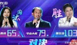 星光大叔爆料视频大全,视频大全背后的精彩故事