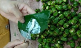 槟榔的制作爆料视频大全,视频大全带你一探究竟