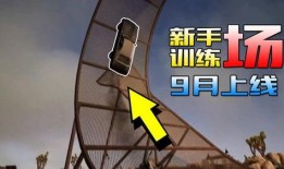 生存视频爆料,视频爆料背后的真实生存困境