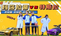 最新玛莎爆料视频大全在线观看,揭秘幕后真相，精彩瞬间不容错过