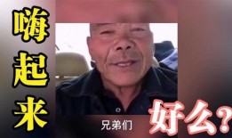 兄弟爆料搞笑视频合集下载,搞笑视频合集下载，笑料横生，欢乐无限