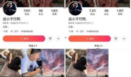 丁老五爆料倪海杉视频,真相大白背后的惊人内幕