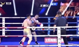 家暴王鹏飞爆料者视频,揭秘爆料者视频背后的真相