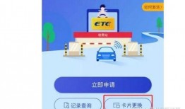 全球最新爆料小程序,小程序背后的秘密与趋势