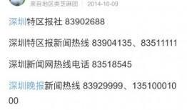 新闻天天报爆料电话,揭秘神秘热线背后的真相