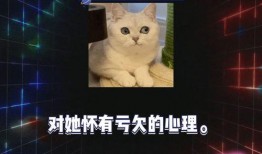 娱乐圈八卦爆料最新一期,明星恋情、新剧动态大揭秘！