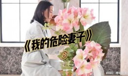 我的危险妻子在线观看8,揭秘我的危险妻子在线观看背后的惊心动魄