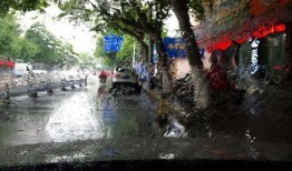 下雨在线观看,在线共赏诗意雨景