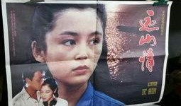 电影远山情在线观看,穿越时光的深情之旅