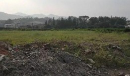 全州咸水乡村爆料视频,揭秘神秘海岛风情
