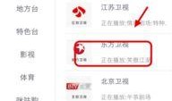 东方卫视回播在线观看,精彩节目尽在掌握，在线观看轻松便捷