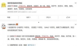 爆料神秘嘉宾名单大全最新,神秘嘉宾名单大全大揭秘！