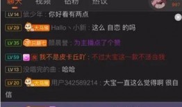 北京大宝爆料视频,一窥娱乐圈幕后真相