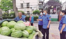 甘肃网红老头吃瓜,揭秘瓜农生活背后的故事