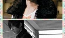 一对一爱爱在线观看,揭秘爱爱在线观看的神秘世界