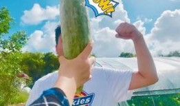 大家一起吃瓜网红,一起吃瓜网红的欢乐时光