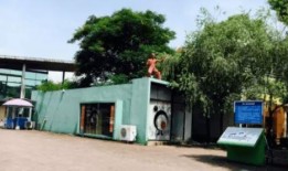 拍爆料视频违法吗判几年,拍爆料视频违法判罚年限解析