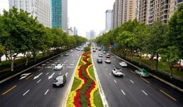 郑州金水路最新爆料,繁华地段惊现神秘项目，揭秘背后故事