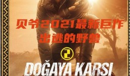 2021年贝爷最新爆料,揭秘极限生存背后的惊险故事