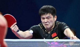 樊振东爆料视频,训练幕后故事与心路历程”