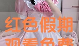 红色假期在线观看观看,重温革命岁月，共筑中国梦