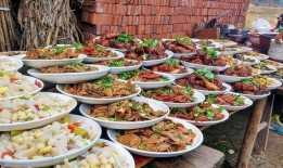 农村宴席爆料视频播放网站,一场视觉盛宴背后的故事