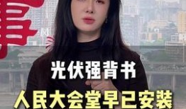 敏姐爆料粤语视频大全集,揭秘娱乐圈幕后故事