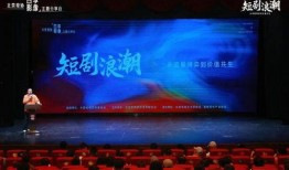 浪潮 在线观看,揭秘科技浪潮中的创新力量