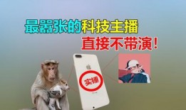 二狗爆料视频大全下载,揭秘娱乐圈幕后真相