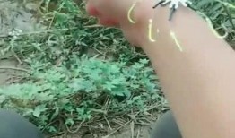 吃瓜群众领悟免费观看,吃瓜群众解锁免费观影新姿势