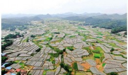 全州咸水乡村爆料视频,揭秘神秘海岛风情