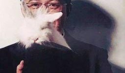 卓伟爆料出轨新闻视频,某明星出轨内幕大揭秘