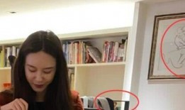 张大奕和蒋凡最新爆料,最新爆料揭露惊人内幕！”