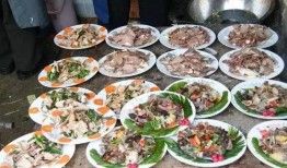 农村宴席爆料视频播放网站,一场视觉盛宴背后的故事