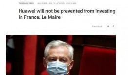 法国爆料最新消息,揭秘重大事件内幕