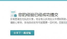 今日关注爆料多久才审核,审核周期揭秘，概述文章副标题生成中...【审核时效解析】
