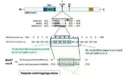 英国爆料病毒新闻的人,爆料新闻背后的惊人内幕
