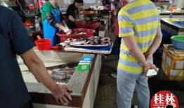 爱钱大锤最新爆料新闻,最新爆料新闻背后的惊人真相