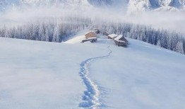 最新爆料六图雪地图片,冬日雪地美景，带你领略纯净自然之美”