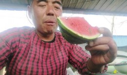 甘肃网红老头吃瓜,揭秘瓜农生活背后的故事