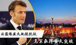 法国爆料最新消息,揭秘重大事件内幕