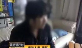 韩娱涉毒爆料视频下载,涉毒视频曝光，娱乐圈风波再起